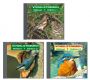 Vogelraetsel-Serie, Ed. 1-3, Audio-CDs