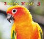 E, Exotic Birds 3, Download