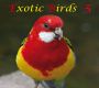 E, Exotic Birds 5, Download