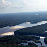 Regenwald Amazonas, Rio Negro, Abendkonzert der Grillen und Froesche, 10:15 Min., Download