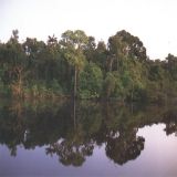 Regenwald Amazonas, Rio Negro, Abend, 15:02 Min., Download