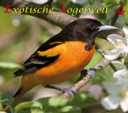 Exot. Vögel - Ed. 4, Adeliepinguin bis Weissscheitelrötel, Download