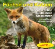 Echte Fuechse, Großkatzen und Kleinkatzen, 23 Arten, 78 Min., Download