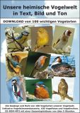 Heimische Vogelwelt, Text/Bild/Ton, 5 Std, Download