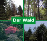 Der Wald als Konzertsaal, 76 Min., Download