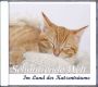 Im Land der Katzentraeume, Audio-CD