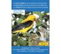 Die Vogelstimmen Europas, 819 Vogelarten, 17 Stunden, Audio-CD-ROM, D-E-F