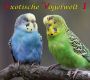 Exotische Vogelwelt - Ed. 1, Ararauna bis Zwergflamingo, 51 Min., Download