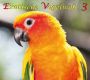 Exotische Vogelwelt - Ed. 3, Blaukaeppchen bis Waldhaeherling, 49 Min., Download