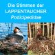 Vogelfamilie der Lappentaucher, Podicipedidae, 6 Arten, 11 Min, Download