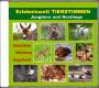 Erlebniswelt TIERSTIMMEN Jungtiere und Nestlinge, 72 Min., Audio-CD