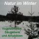 Natur im Winter, Voegel-Tiere-Amphibien, 32 Min., Download