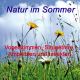 Natur im Sommer, Vögel-Tiere-Amphibien-Insekten, 34 Min., Download