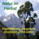 Natur im Herbst, Vögel-Tiere-Amphibien-Insekten, 37 Min., Download