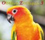 F, Oiseaux Exotiques 3, Download