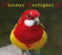F, Oiseaux Exotiques 5, Download